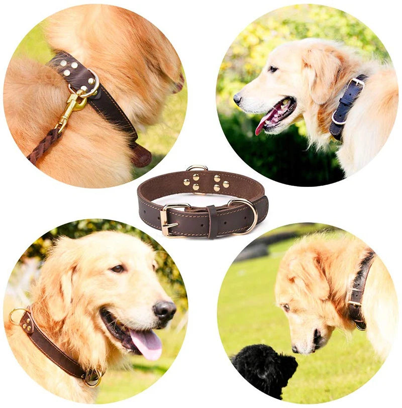 Genuine Leather Dog Collar