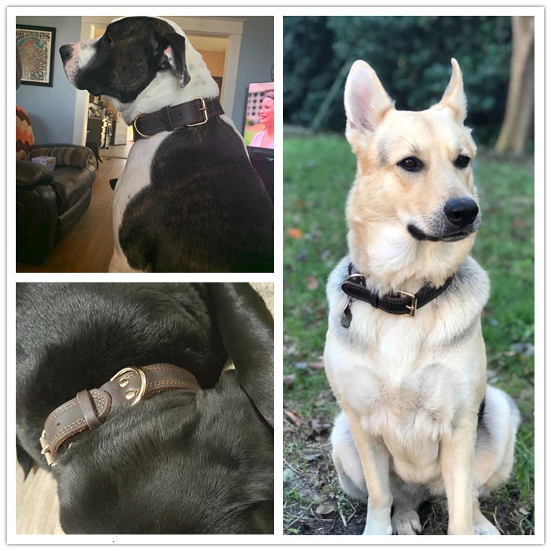 Genuine Leather Dog Collar