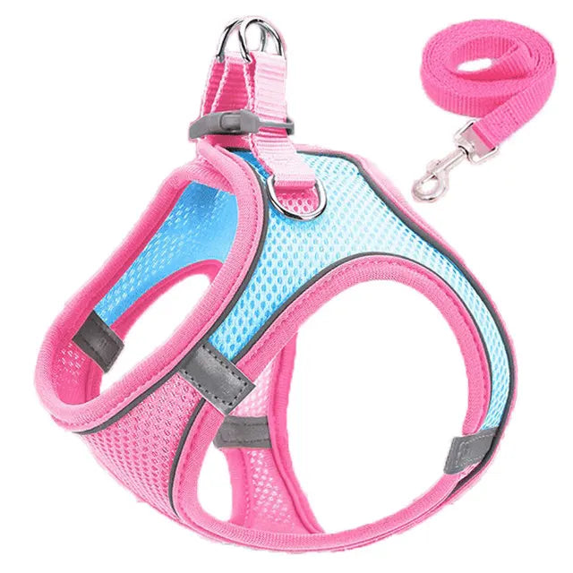 Reflective Pet Harnesses And Leashes Set
