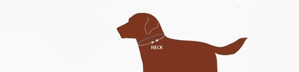 Genuine Leather Dog Collar