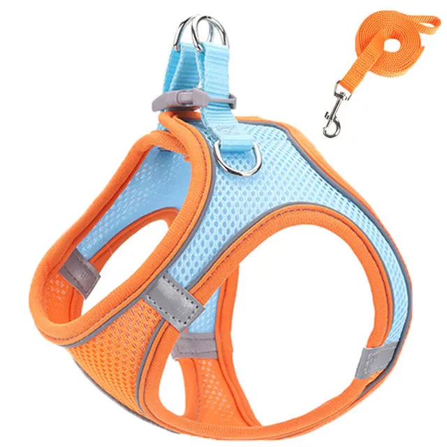 Reflective Pet Harnesses And Leashes Set