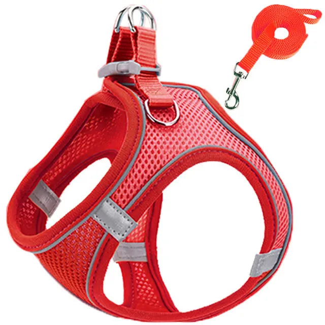 Reflective Pet Harnesses And Leashes Set