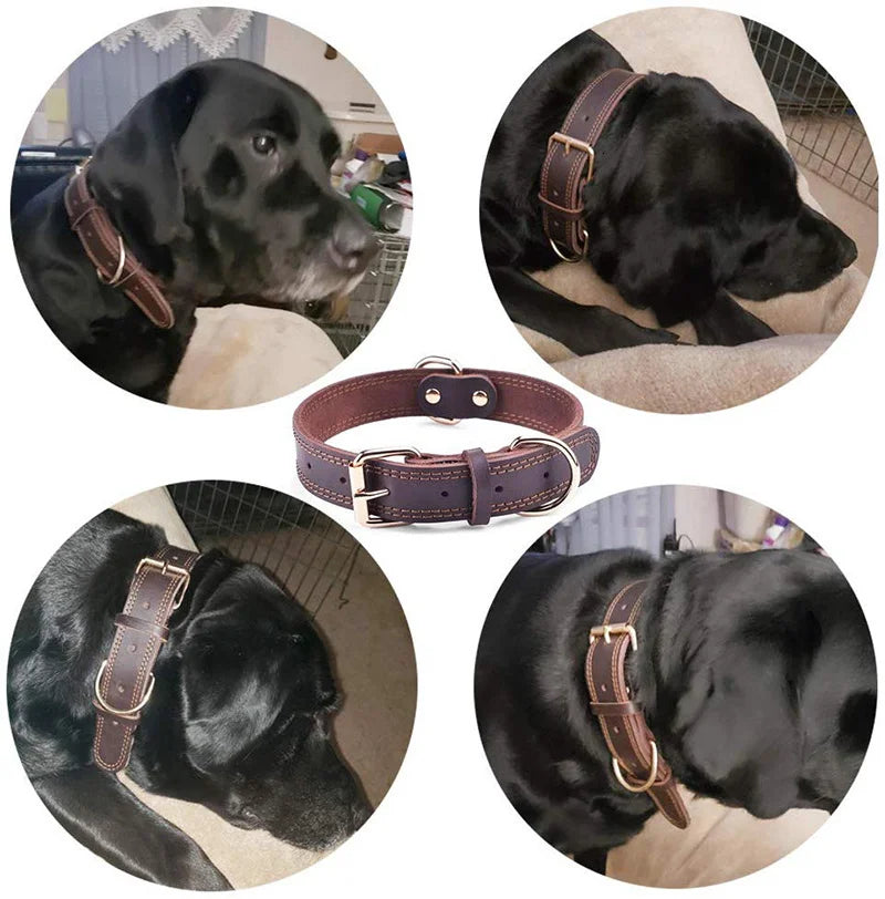 Genuine Leather Dog Collar